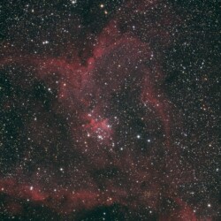 IC 1805 (Heart-Nebula)