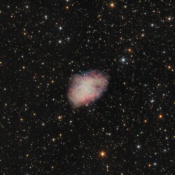 M 1 in TAU M 1 in TAU