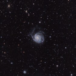 M 101 in UMA
