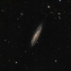 M 98 in LEO M 98 in LEO