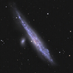 NGC4631_70-10-10-10min_LRGB
