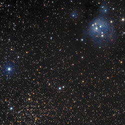 NGC 7129 / 7142 in CEP