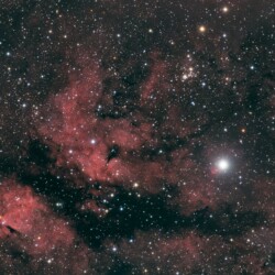 Gamma CYG (Sadr), IC 1318